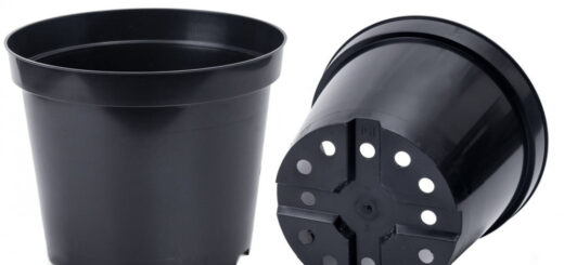 doniczki produkcyjne