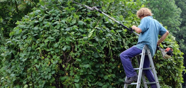 sekatory elektryczne