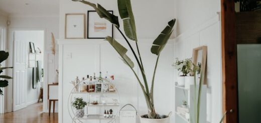 Wiklinowe doniczki – naturalny sposób na piękne aranżacje roślin