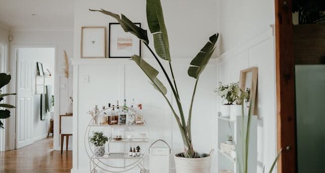 Wiklinowe doniczki – naturalny sposób na piękne aranżacje roślin